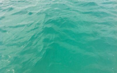 Strandtur: Son Serra de Marina-Can Picafort